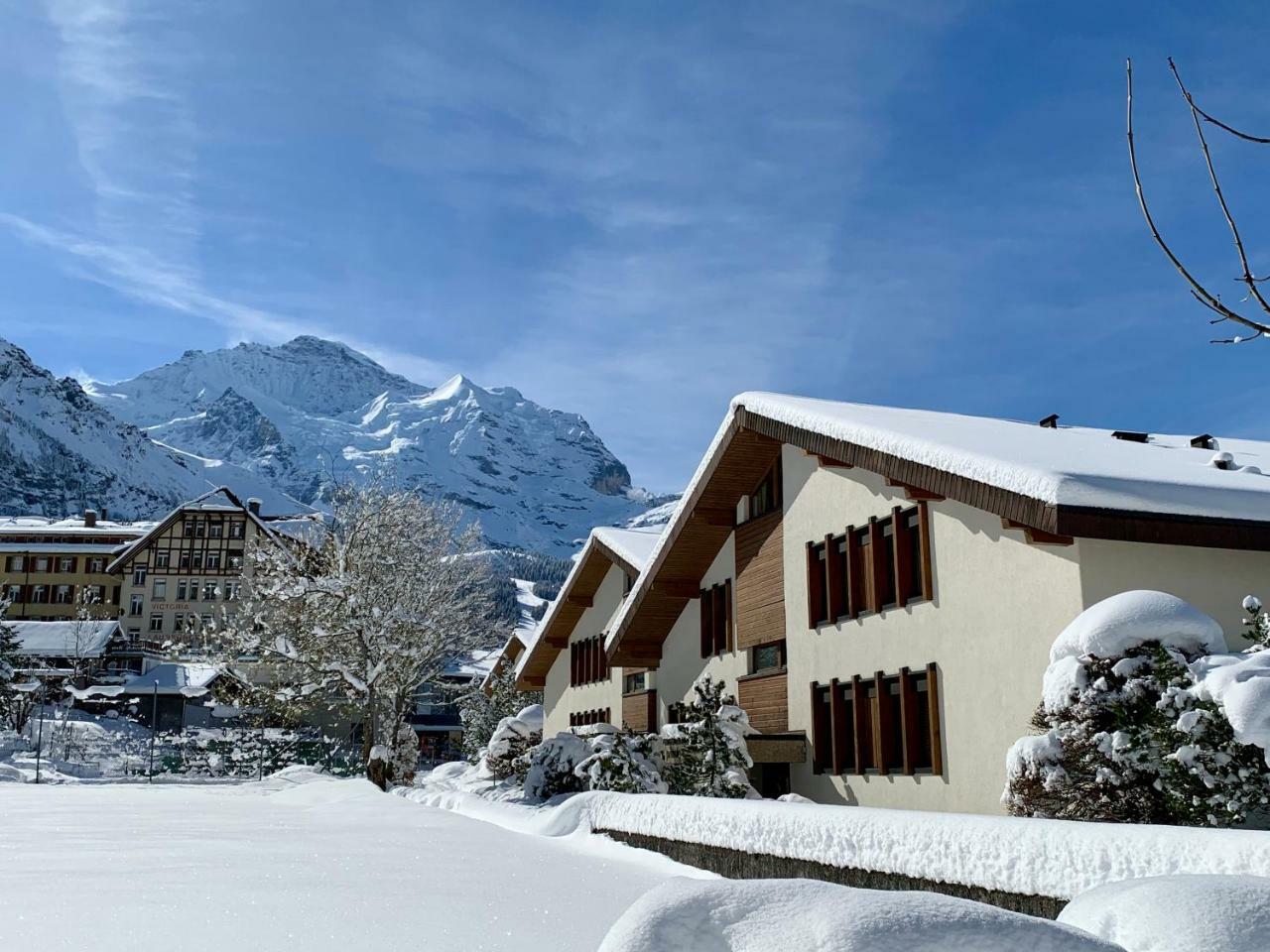 Chalet Primula Penthouse Wengen Ngoại thất bức ảnh